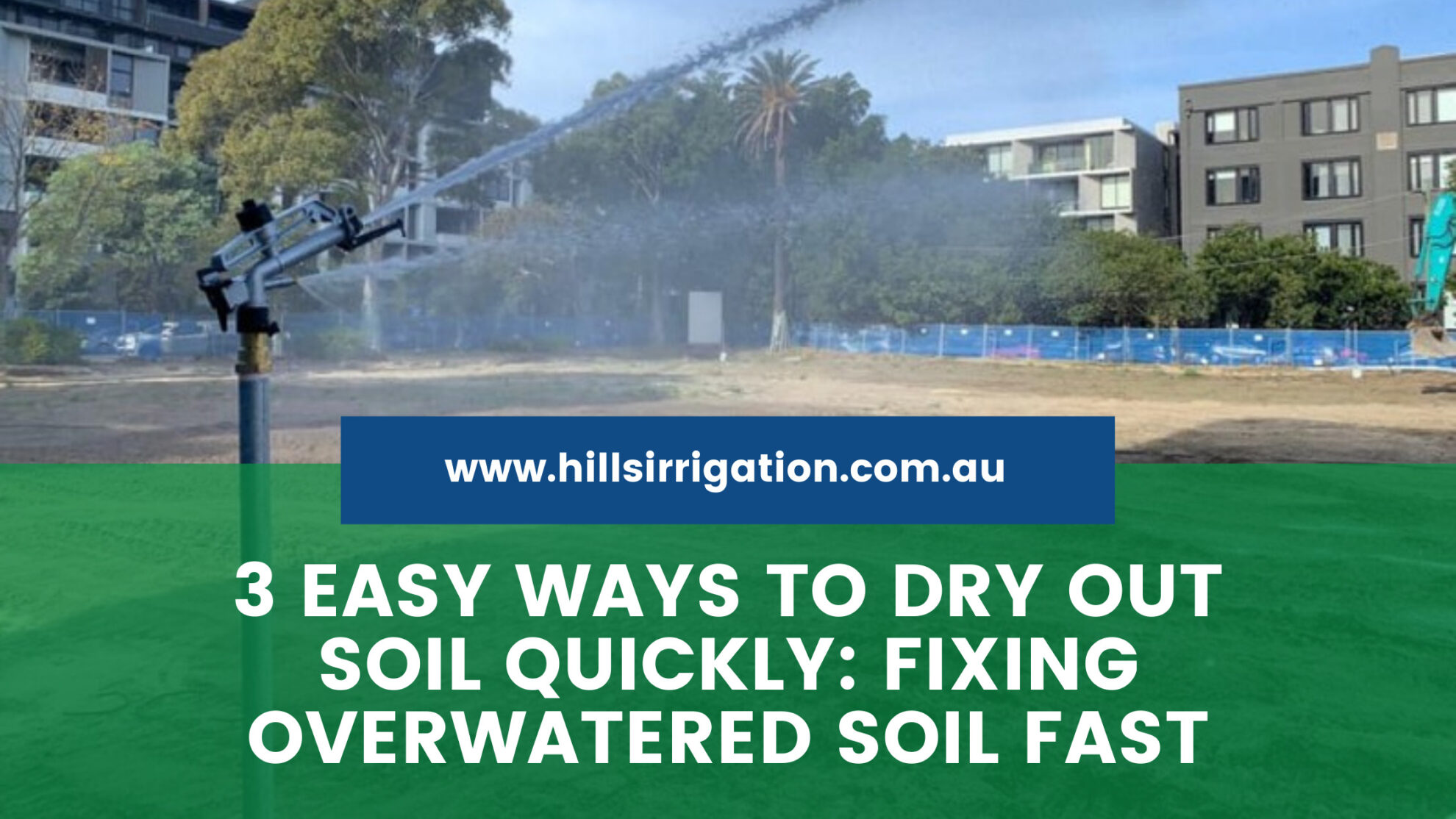 3 Easy Ways to Dry Out Soil Quickly Fixing Overwatered Soil Fast